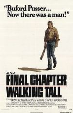 Watch Final Chapter: Walking Tall 9Movies