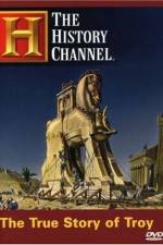 Watch The True Story of Troy 9Movies