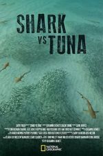 Watch Shark vs Tuna 9Movies