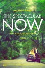 Watch The Spectacular Now 9Movies