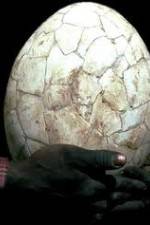 Watch Attenborough And The Giant Egg 9Movies
