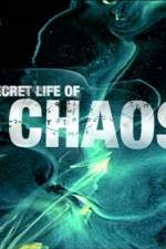 Watch The Secret Life of Chaos 9Movies