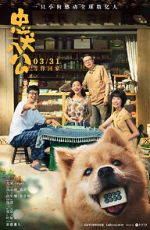 Watch Hachiko 9Movies
