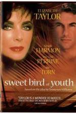Watch Sweet Bird of Youth 9Movies