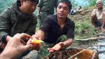 Watch Hallucinogen Honey Hunters (Short 2011) 9Movies