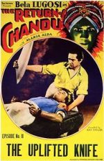 Watch The Return of Chandu 9Movies