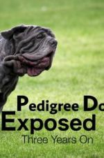 Watch Pedigree Dogs Exposed, Three Years On 9Movies