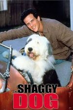 Watch The Shaggy Dog 9Movies