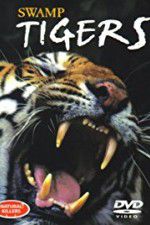 Watch Swamp Tigers 9Movies