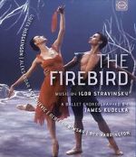Watch The Firebird 9Movies