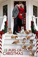 Watch 12 Pups of Christmas 9Movies