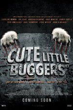Watch Cute Little Buggers 9Movies
