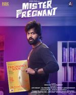 Watch Mr. Pregnant 9Movies