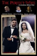 Watch The Perfect Wife 9Movies
