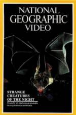 Watch Strange Creatures of the Night 9Movies