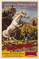Watch Snowfire 9Movies