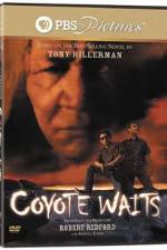Watch Coyote Waits 9Movies