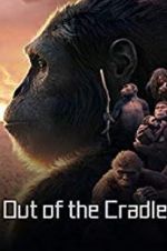 Watch Out of the Cradle 9Movies