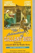 Watch Adventures of Gallant Bess 9Movies