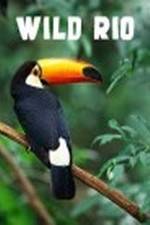 Watch Wild Rio 9Movies