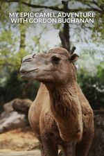 Watch My Epic Camel Adventure with Gordon Buchanan 9Movies