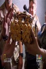 Watch Iraq's Lost Treasure 9Movies