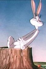 Watch The Unruly Hare 9Movies