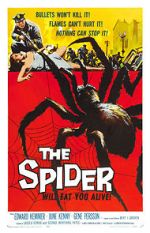 Watch The Spider 9Movies