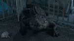 Watch Croc! 9Movies