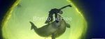 Watch Born to Be Free 9Movies