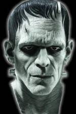 Watch Frankenstein Birth of a Monster 9Movies
