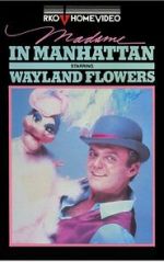 Watch Madame in Manhattan 9Movies