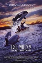Watch Free Willy 2: The Adventure Home 9Movies