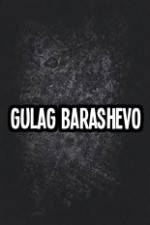 Watch Gulag Barashevo 9Movies