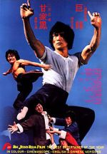 Watch The Dragon\'s Snake Fist 9Movies