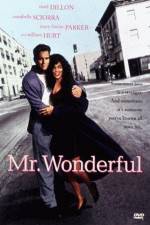 Watch Mr Wonderful 9Movies