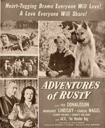Watch Adventures of Rusty 9Movies