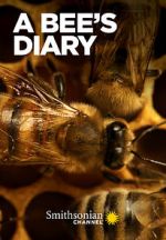 Watch A Bee\'s Diary (TV Special 2022) 9Movies