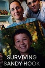 Watch Surviving Sandy Hook 9Movies