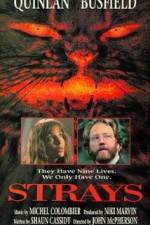 Watch Strays 9Movies