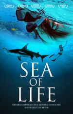 Watch Sea of Life 9Movies
