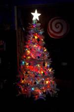 Watch O' Christmas Tree 9Movies