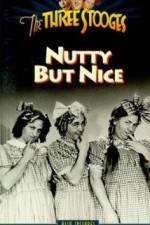 Watch Nutty But Nice 9Movies