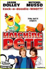 Watch Hatching Pete 9Movies