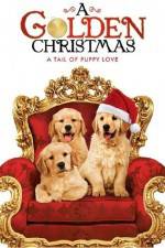 Watch A Golden Christmas 9Movies