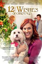 Watch 12 Wishes of Christmas 9Movies