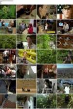 Watch National Geographic: Super weed 9Movies