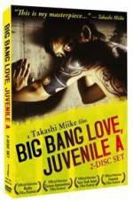 Watch Big Bang Love Juvenile A 9Movies