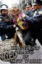 Watch NYPD: Biggest Gang in New York? 9Movies