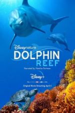 Watch Dolphin Reef 9Movies
